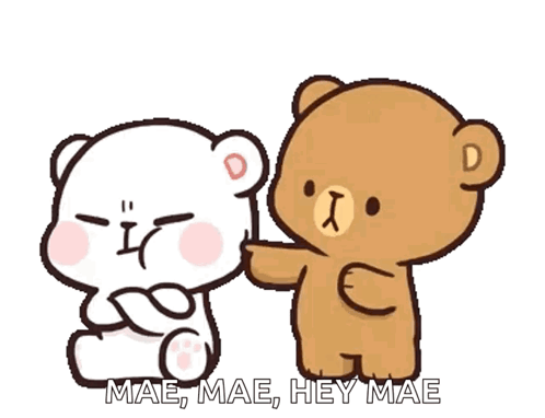 Teddy Bears Next to Each Other Saying Mae Mae Hey Mae