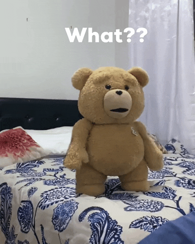 Teddy Ted What GIF