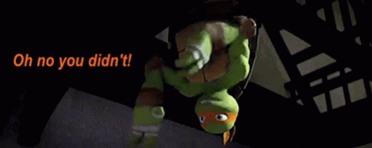 Teenage Mutant Ninja Oh No You Didn't  GIF