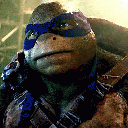 Teenage Mutant Ninja Turtle Crying It's So Beautiful GIF