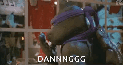 Teenage Mutant Ninja Turtle In Purple Mask Making Funny Face GIF