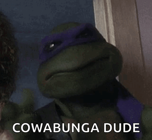 Teenage Mutant Ninja Turtle Laughing Cowabunga Dude