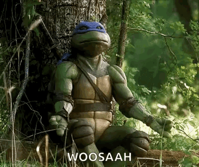 Teenage Mutant Ninja Turtle Saying Woosaah