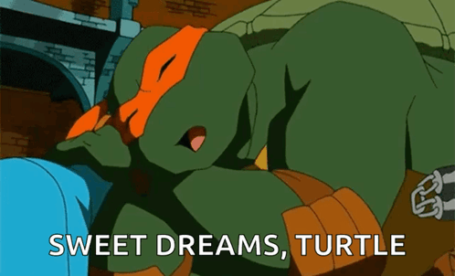 Teenage Mutant Ninja Turtle Sleeping Sweet Dreams Turtle GIF