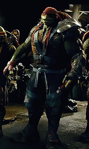 Teenage Mutant Ninja Turtle Standing