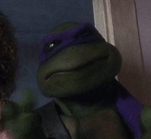 Teenage Mutant Ninja Turtle with Purple Mask