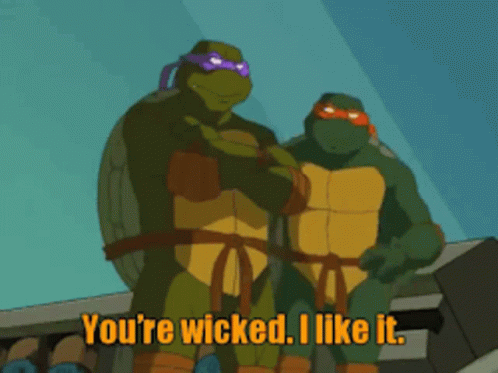 Teenage Mutant Ninja Turtles Saying You're Wicked