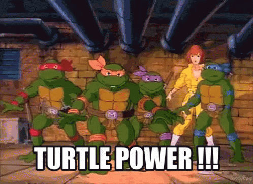 Teenage Mutant Ninja Turtles Turtle Power GIF