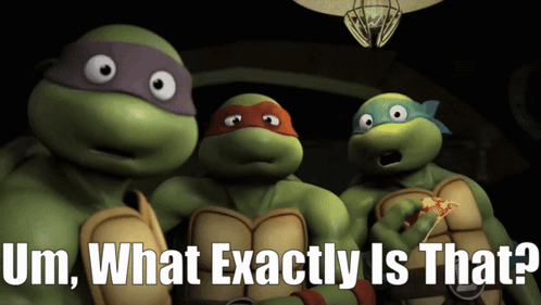 Teenage Mutant Ninja Turtles Um What Exactly Is That GIF