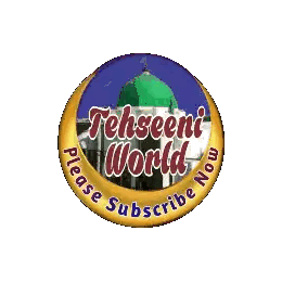 Tehseeni World Logo with Green Dome
