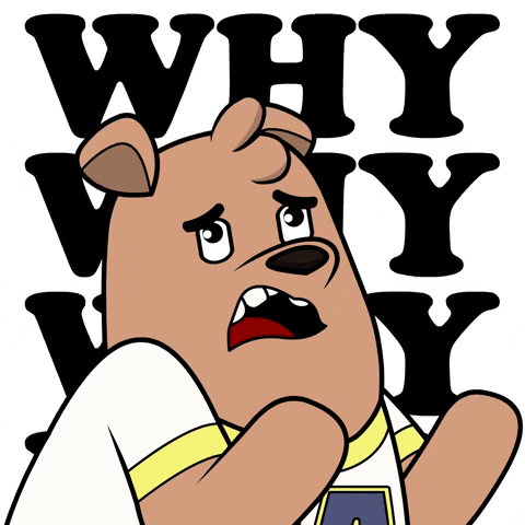 Tell Me Why Max Bear GIF