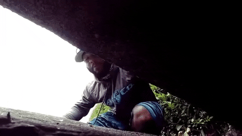 Tempting To Scape Shrug GIF