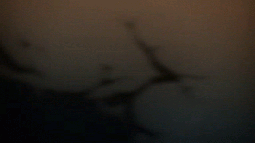 Ruthless Warfare Fight Tengen Vs Gyutaro GIF