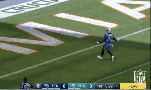 Tennessee Titans Delanie Walker Touchdown GIF