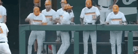 Tennessee Volunteers Ole Miss Baseball GIF