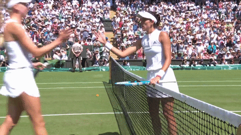 Tennis Awkward Handshake Wimbledon GIF
