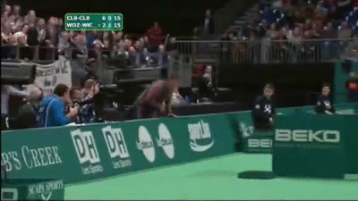 Tennis Fan Run Attack GIF