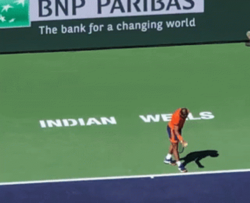 Tennis Player On Court With BNP Pariba Ad GIF