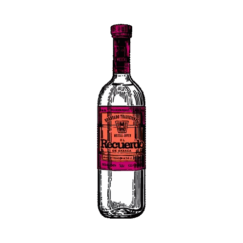 Tequila Requiero Bottle Drawing