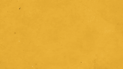 Tequila Shots And Lime Animation GIF