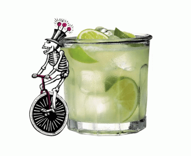 Tequila Sour Drinks GIF