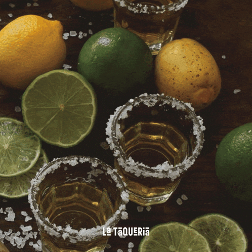 Tequila Taqueria Gif GIF