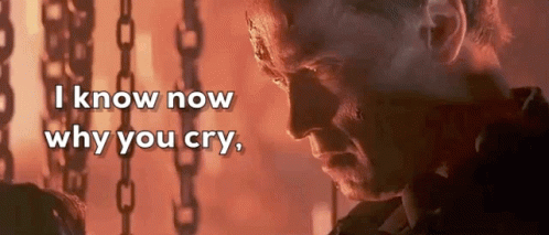 Terminator 2 Ending I Know Why You Cry GIF