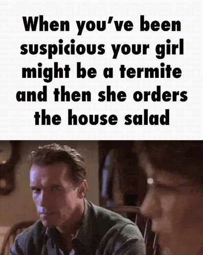 Termite House GIF