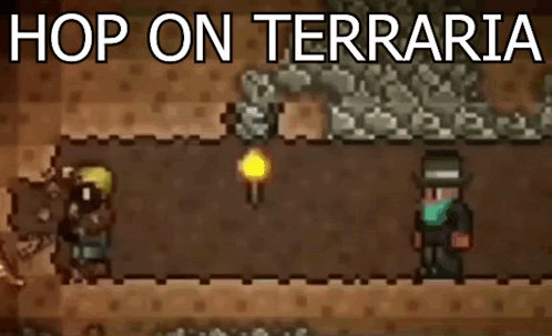 Terraria Another Day Of Labor GIF