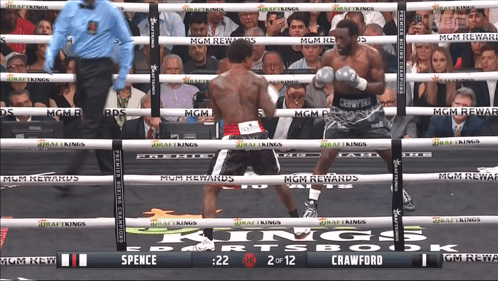 Terrence Bud Crawford Versus Errol Spence Jr. GIF