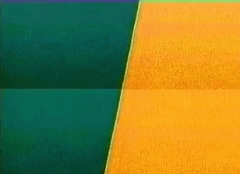 Terrific Thankful Tuesday GIF