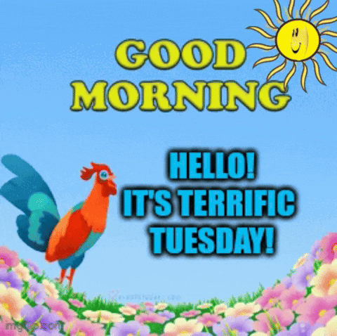 Terrific Tuesday Cartoon Rooster Crowing GIF