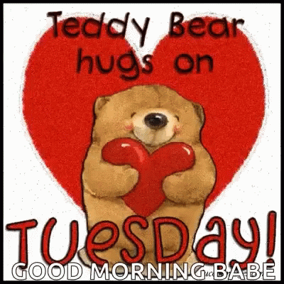 Terrific Tuesday Teddy Bear Hugs GIF