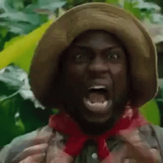 Kevin Hart Shouting Terrified GIF
