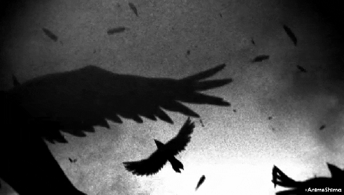 Terror Black Sky With Birds GIF