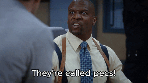Terry Crews Chest Pecs Brooklyn Nine Nine GIF