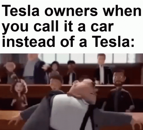Tesla Owners When You Call It Car GIF