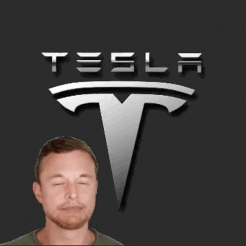 Tesla Logo Elon Musk Hand On Beard GIF