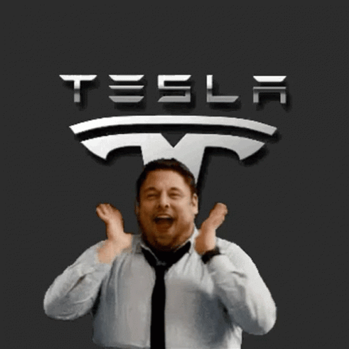 Tesla Elon Musk Shouting GIF