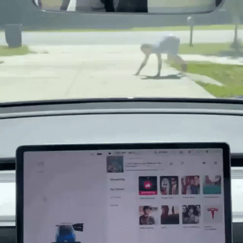 Tesla Vision Guy Crawling GIF