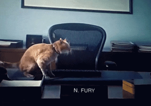Cat Regurgitating Tesseract Avengers GIF