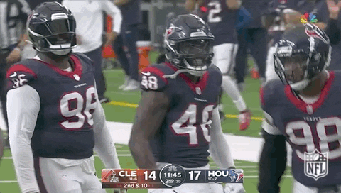 Texans Wild Player GIF