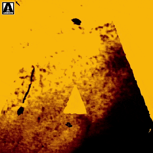 Texas Chainsaw Can You Survive GIF