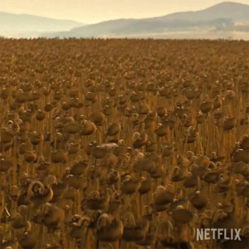 Texas Chainsaw Hide And Seek Creepy GIF