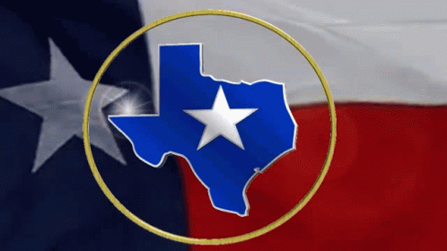 Texas Flag State Iron On Embroidered Patch GIF