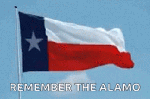 Texas Flag Waving Remember The Alamo