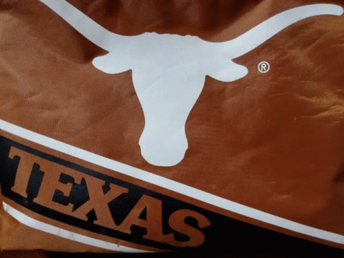Texas Flag With Bull Silhouette