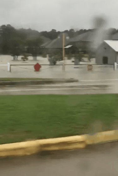 Texas Hurricane Aftermath GIF