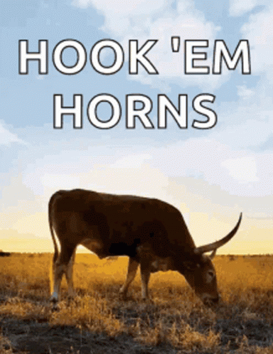 Texas Longhorn With Hook Em Word Above GIF