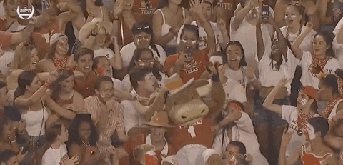 Texas Longhorns Lifted Up Mascot GIF